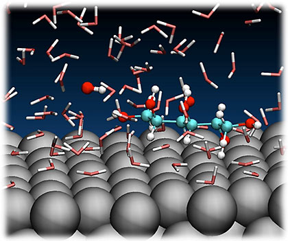 Example of bifunctional catalysis. A platinum surface and hydroxide ion in aqueous solution catalyze the transformation of sorbitol into more valuable chemical compounds. Sorbitol is an example of a sugar molecule that can be extracted from renewable biomass. Platinum atoms are depicted as gray balls, carbon atoms are cyan, oxygen atoms red, and hydrogen atoms white. The triangles represent water molecules. Image: Andreas Goetz/SDSC.