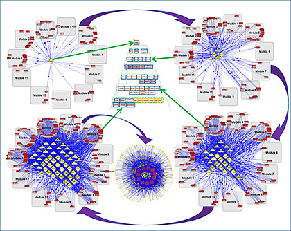 This image shows transcription regulators on the different levels of hierarchy that control the specified coherent gene modules responsible for glioblastoma. Valentina L. Kouznetsova, SDSC.