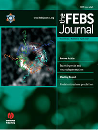 Computer simulations that may pinpoint causes of Parkinson's and Alzheimer's diseases by researchers at SDSC and UC San Diego are featured on the cover of the current issue of the Federation of European Biochemical Societies Journal.