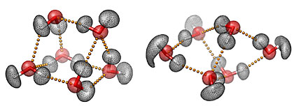 Three-dimensional representations of the prism (left) and cage (right) structures of the water hexamer, the smallest drop of water. The mesh contours represent the actual quantum-mechanical densities of the oxygen (red) and hydrogen (white) atoms. The small yellow spheres represent the hydrogen bonds between the six water molecules. Characterizing the hydrogen-bond topology of the water hexamer at the molecular level is key to understanding the unique and often surprising properties of liquid water, our life matrix. Images courtesy of Volodymyr Babin and Francesco Paesani, UC San Diego.