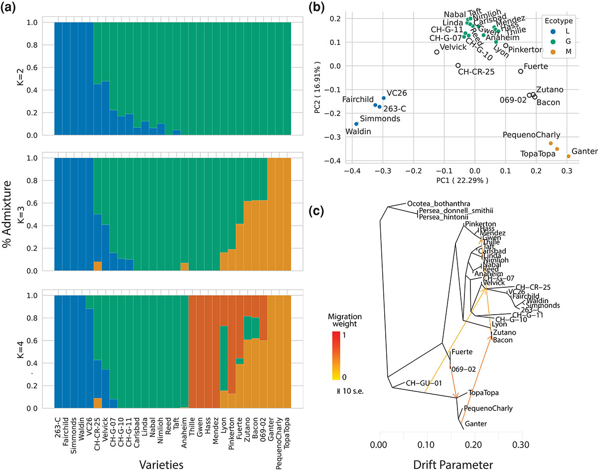 PR20230905_avocado_genome_charts.jpg