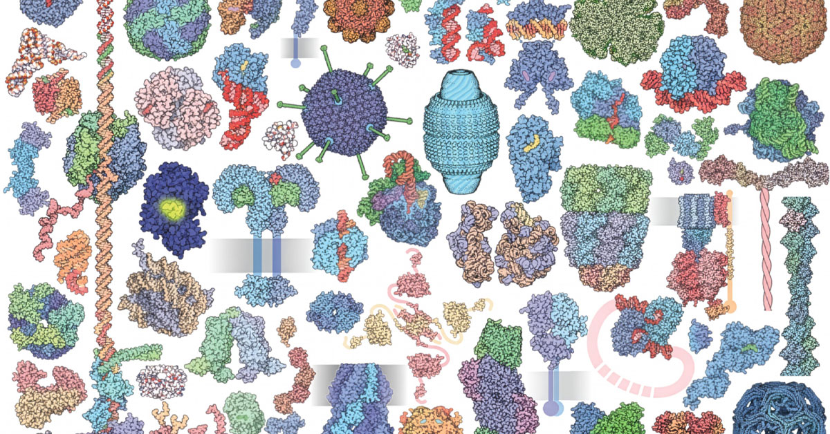 Collage of molecules