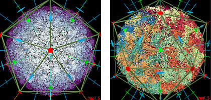 Scientists using the PDB can examine the symmetry and stoichiometry of structures such as these. In these images the virus causing Foot-and Mouth Disease has icosahedral symmetry. Image: Andreas Prlic, UC San Diego