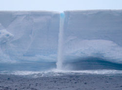 In their intensive study of Antarctic icebergs and their surrounding ecosystems, the researchers found enhanced biological productivity out to a distance of several miles, which may play a role in climate change. The waterfall is meltwater from the iceberg, which appears to act as a fertilizer to the waters surrounding the ice. Credit: John Helly, SDSC.