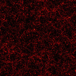 Distortion in the Cosmic Microwave Background