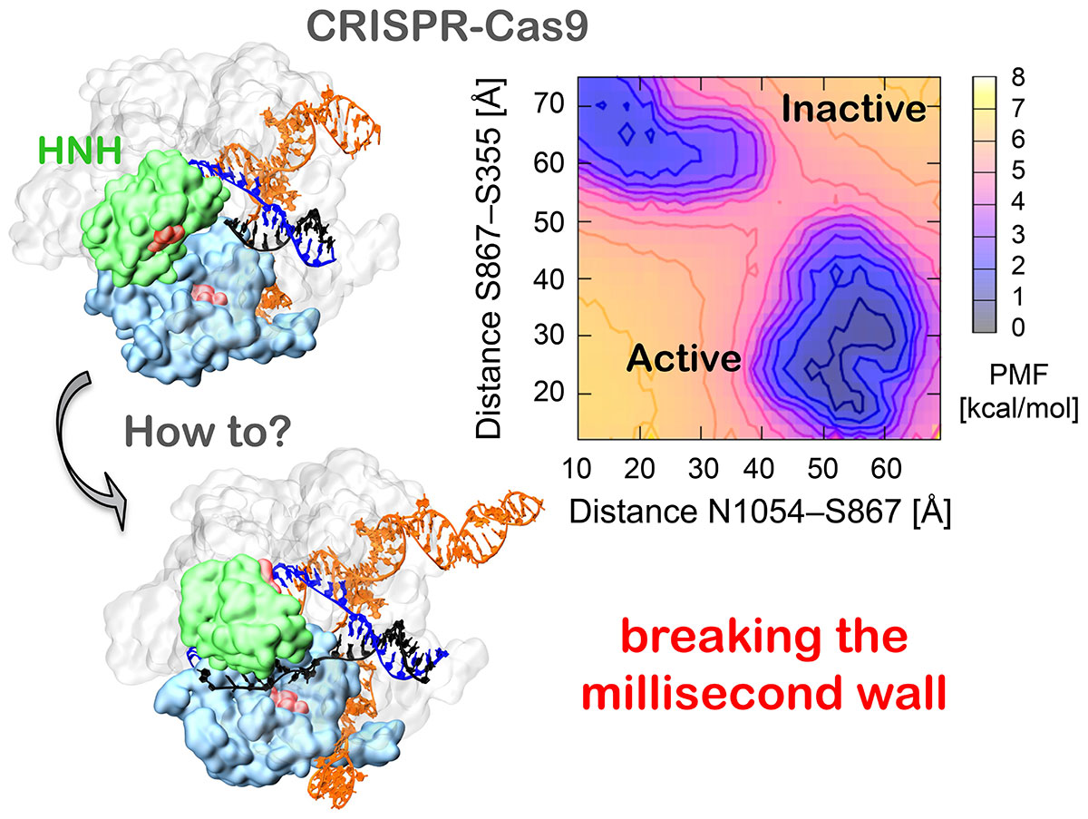 3d Visualizing Molecular Dynamics Simulation of CAS No. 104-95-0