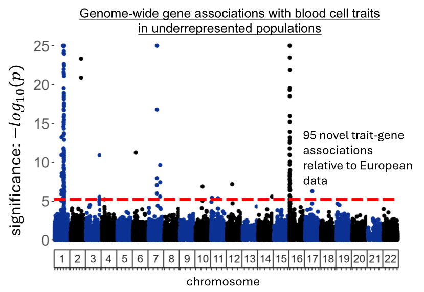 Chart of genome-wide gene associations with blood cell traits in underrepresented populations. 