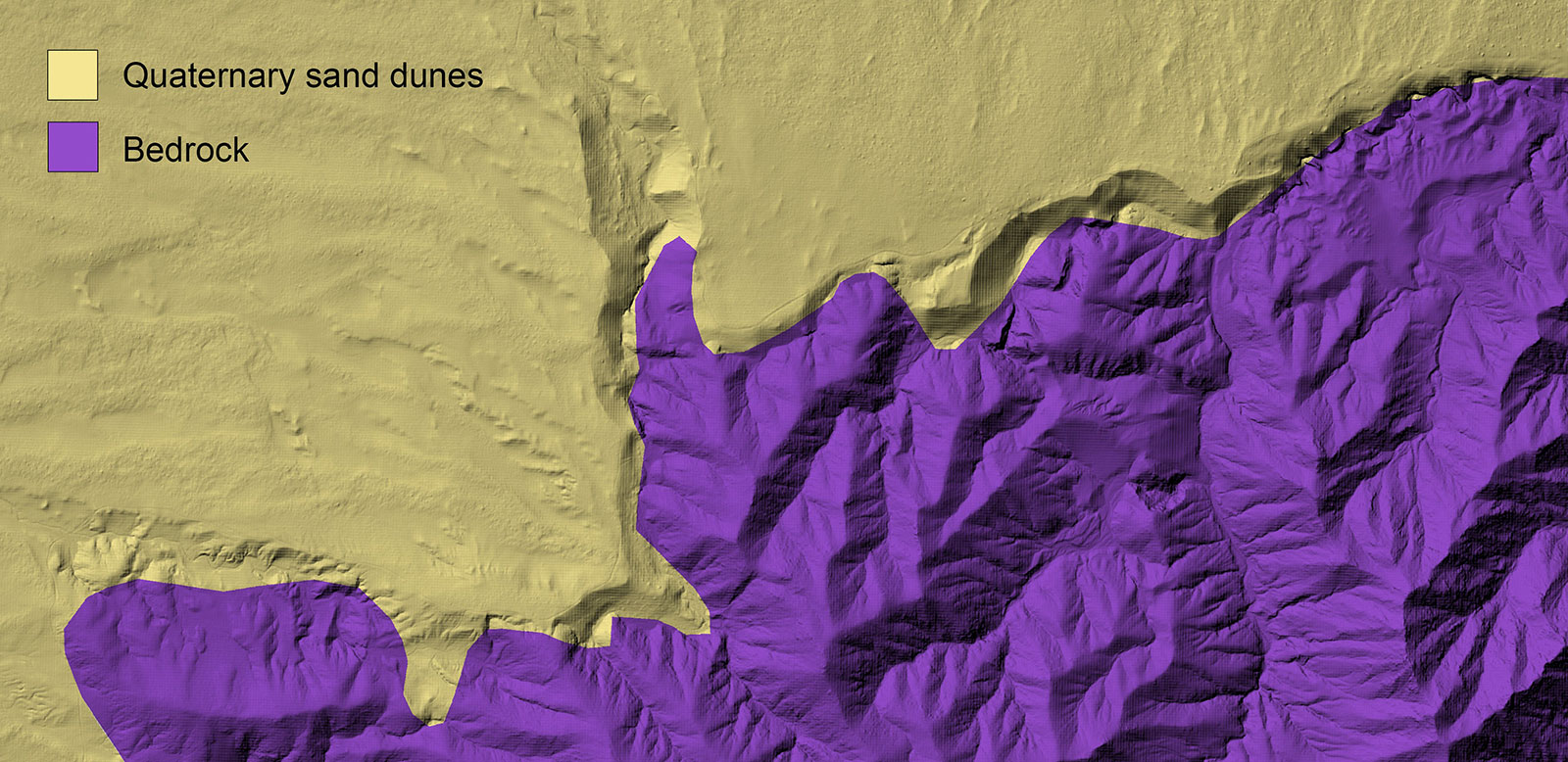 Topographical model showing a split between bedrock in purple and san dunes in tan.