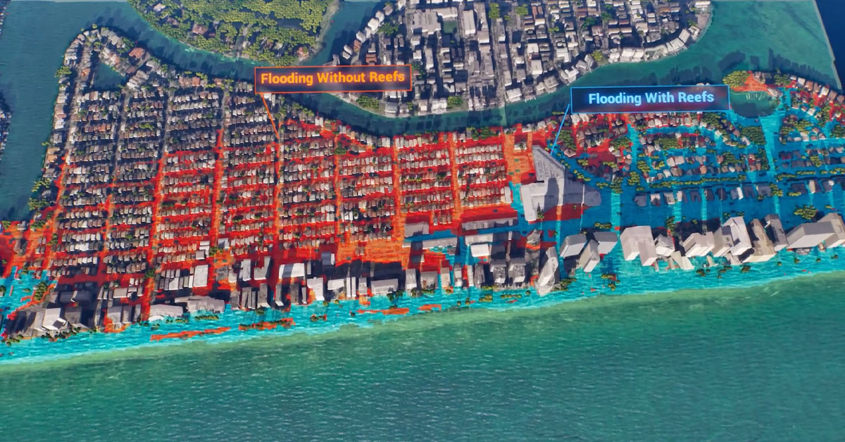 Aerial view with visualization showing the flood protection benefits of coral reefs in Miami Beach, Florida.