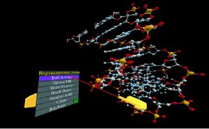 User interacting with DNA in PaulingWorld