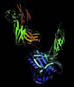 VRML model of gp120 complex