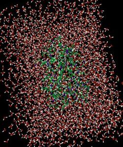 Plastocyanin with solvent molecules