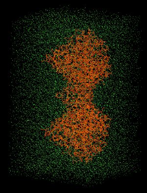 Figure 1. AChE simulation using P-Languages