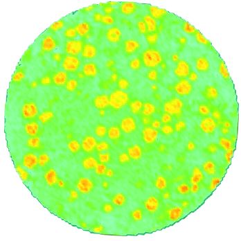 Figure 1. CT Scan of material