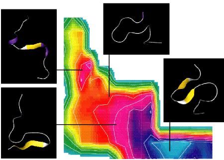 Protein Folding Landscapes