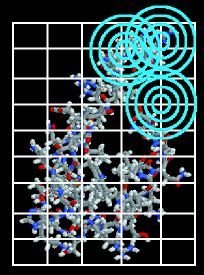 Figure 1. Protein Structure Scanning Grid