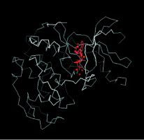 Figure 2. Protein Scanning Results