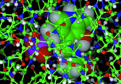 Schiff Base in the Active Site