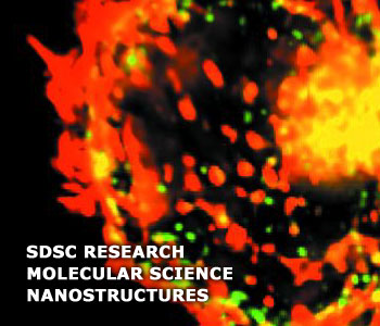 Fluorescent Membrane Proteins in 3D