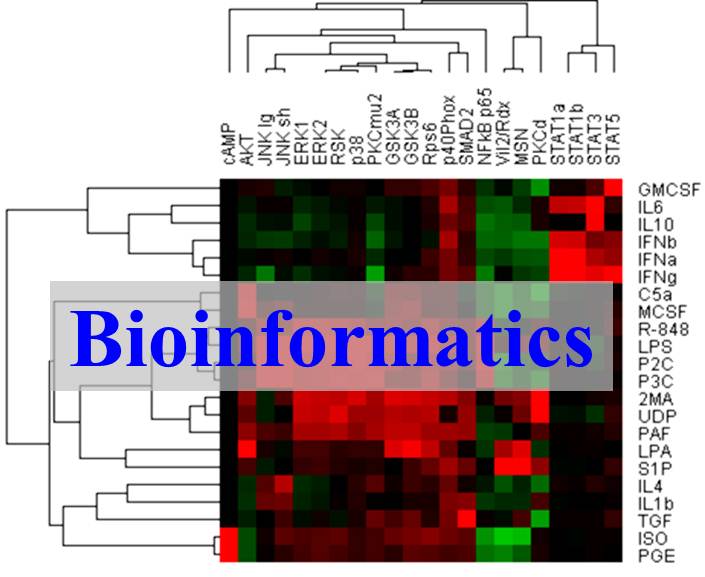 Bioinformatics